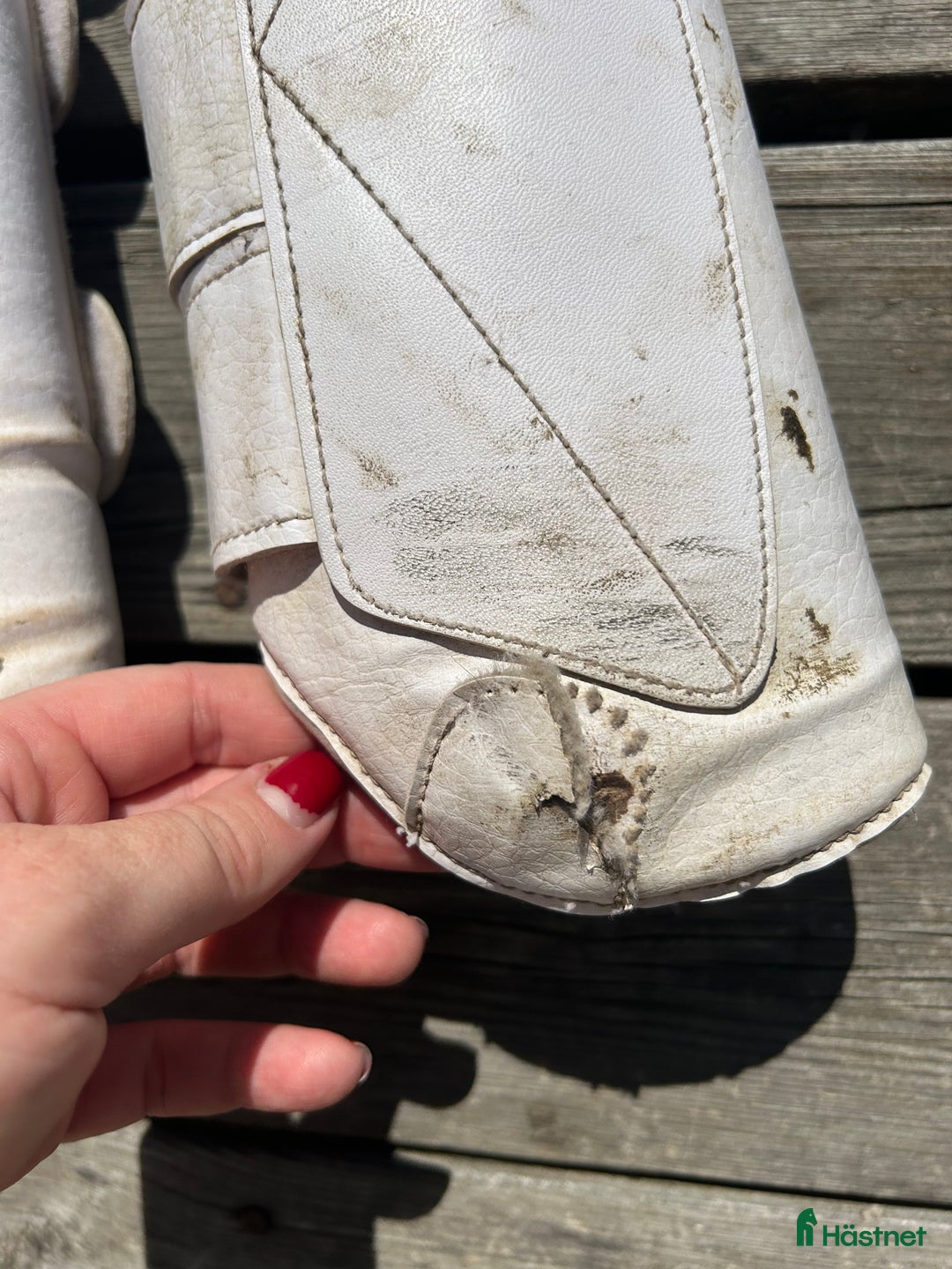 Benskydd hästutrustning till salu: Dressyrskydd från Tekna i Sala - Annons 3