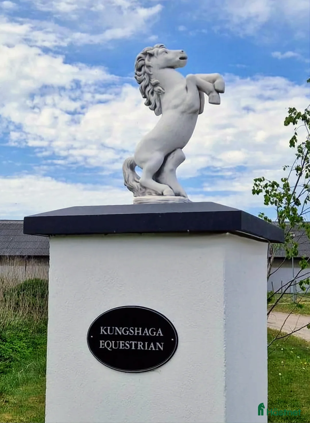  hästservice finnes: Önskar du hjälp - inridning/utbildning/försäljning i Eslöv - Annons 11