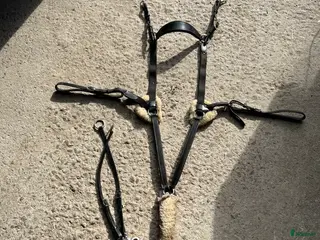 Övrig Hästutrustning hästutrustning Förbygel / brösta i Helsingborg - Annons 23