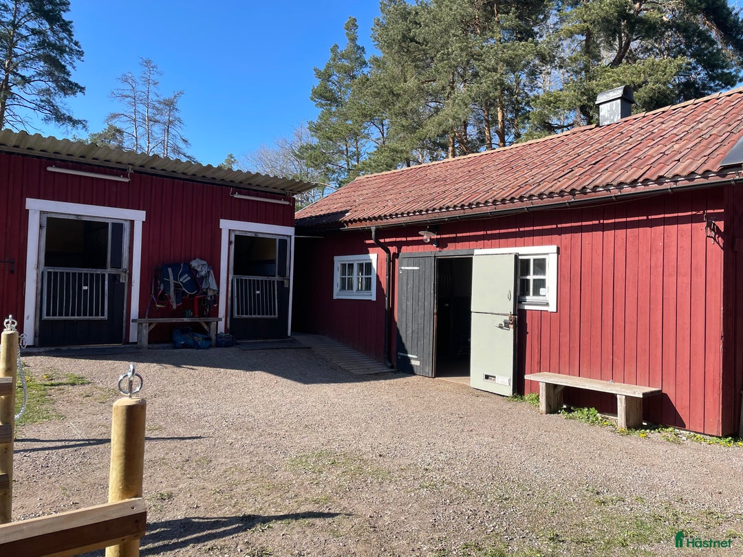  stallplats finnes: Boxplats för 2 valacker!  - Annons 5