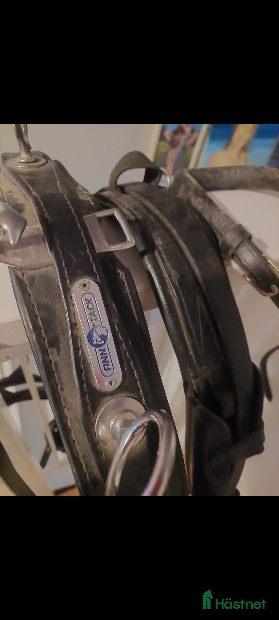 Travselar trav till salu: Travsele Finn Tack med QH fästen storlek full i Gnesta - Annons 5