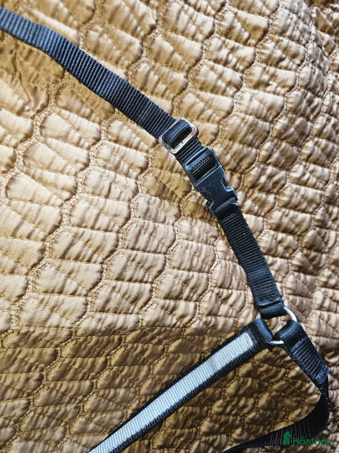 Sadeltillbehör hästutrustning till salu: Förbygel i nylon i Söråker - Annons 4