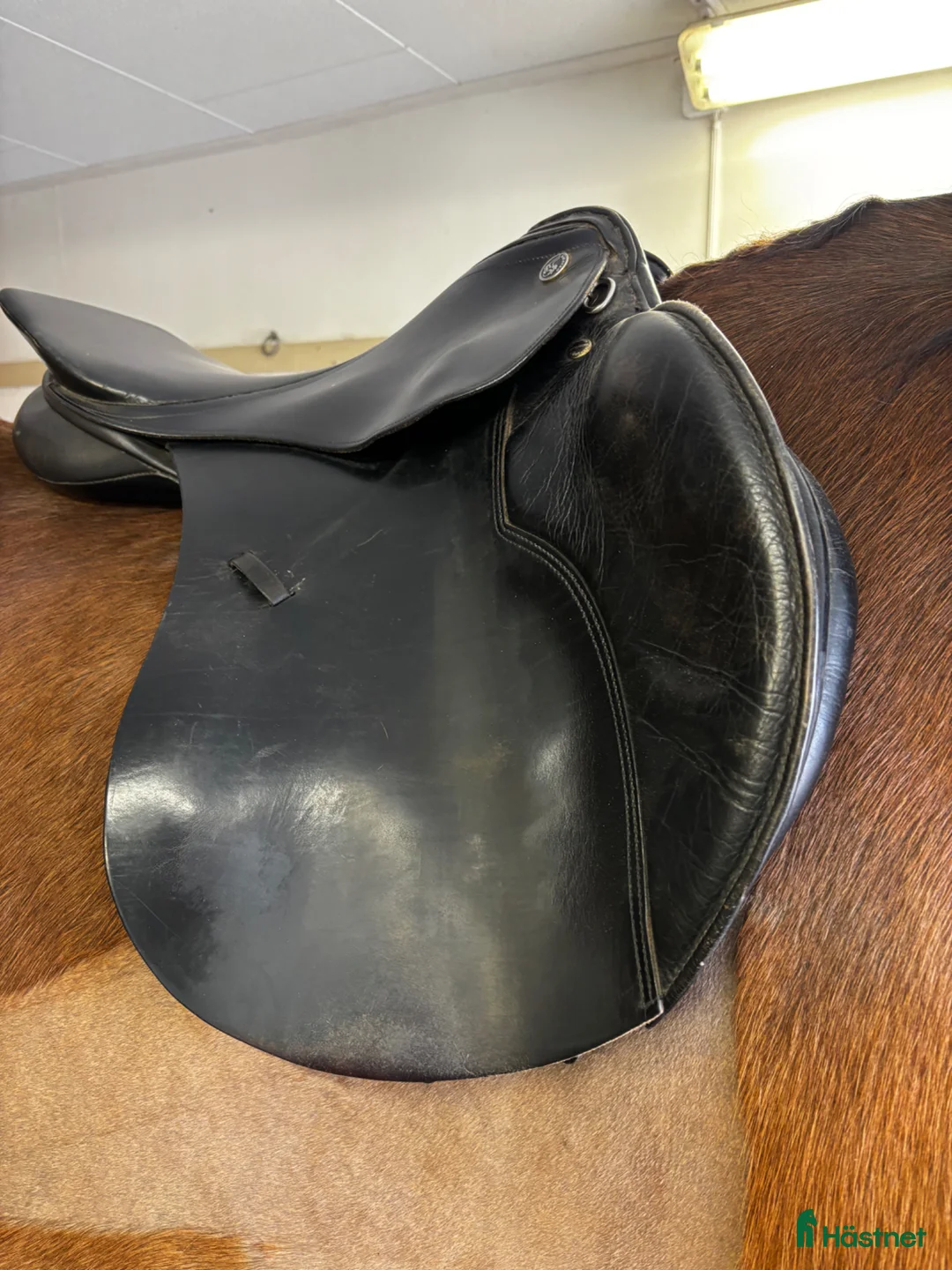 Sadlar hästutrustning till salu: Kieffer Donau - Annons 2