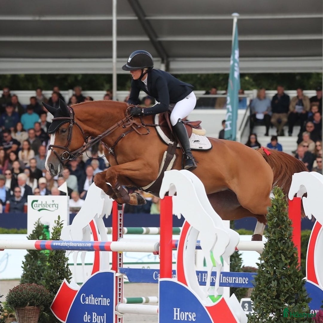 Galleribild {{count}}