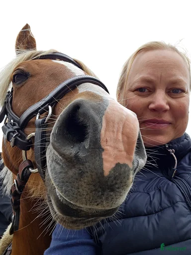 Galleribild {{count}}