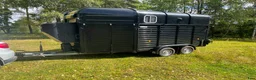 Hästtransporter  fordon & transport till salu: Rice Beaufort Treble i Skepplanda - Annons 1