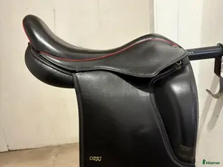 Sadlar hästutrustning Tølthester Orri i Brastad - Annons 19