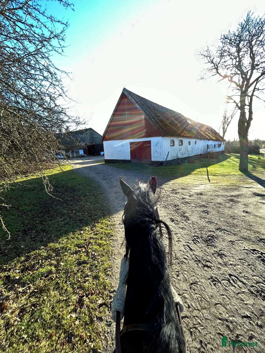  stallplats finnes: Vi har tre boxplatser lediga from 1 mars😊 i Vellinge - Annons 8