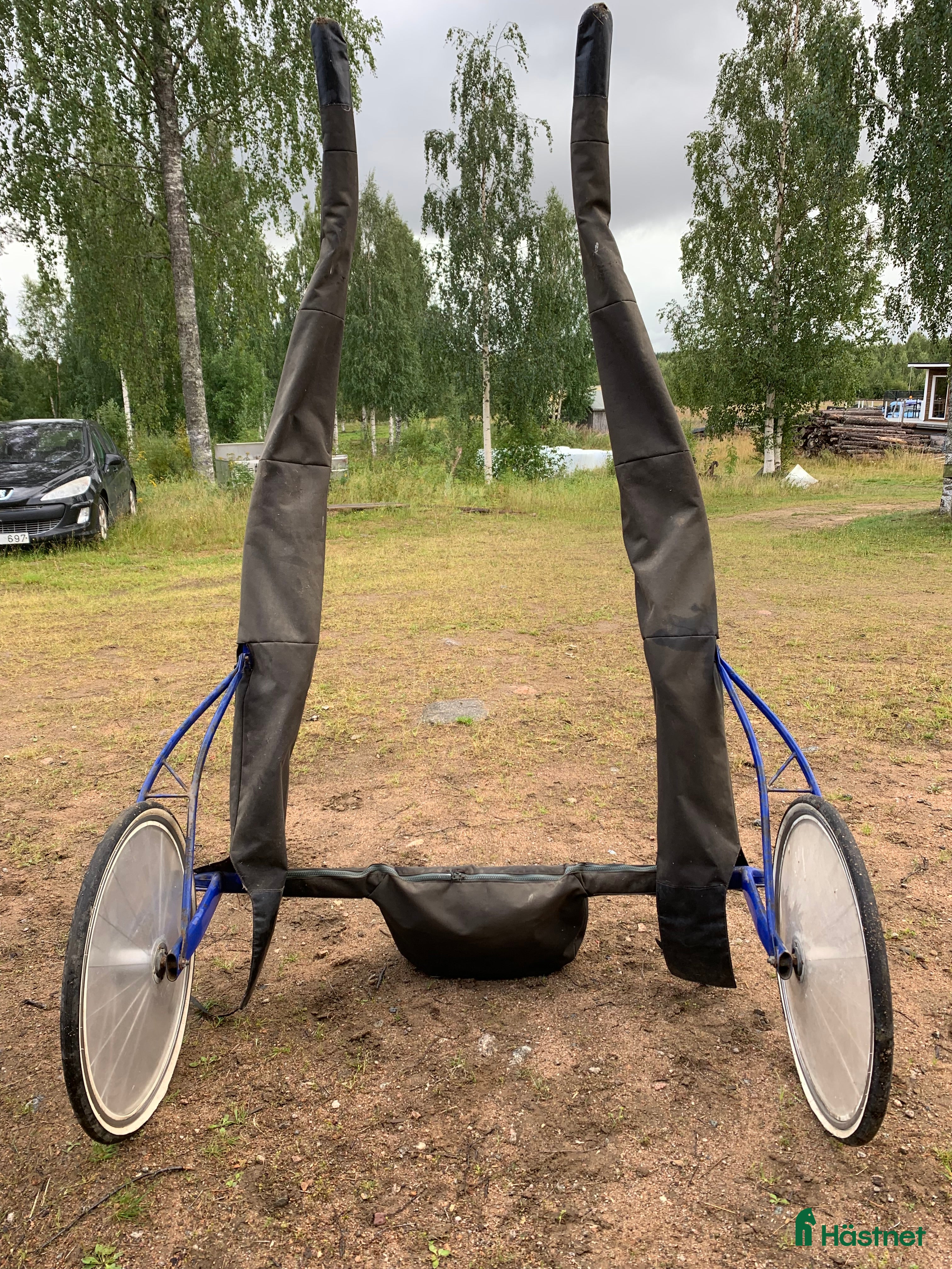 Travsulkys trav till salu: Sulky i Överkalix - Annons 20