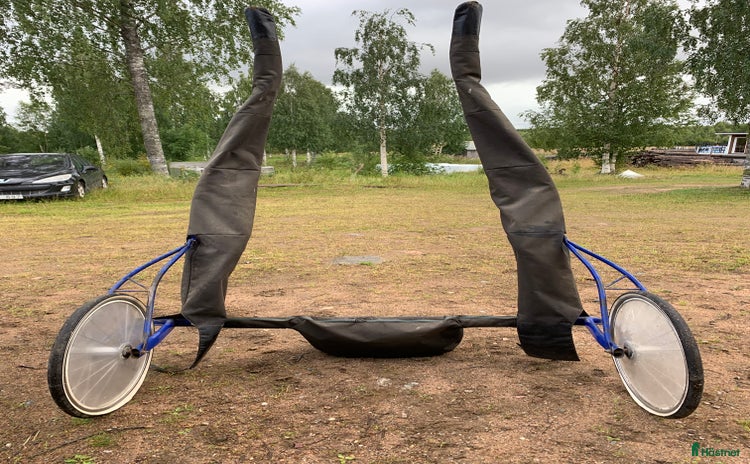 Travsulkys trav till salu i Överkalix - Annons 11