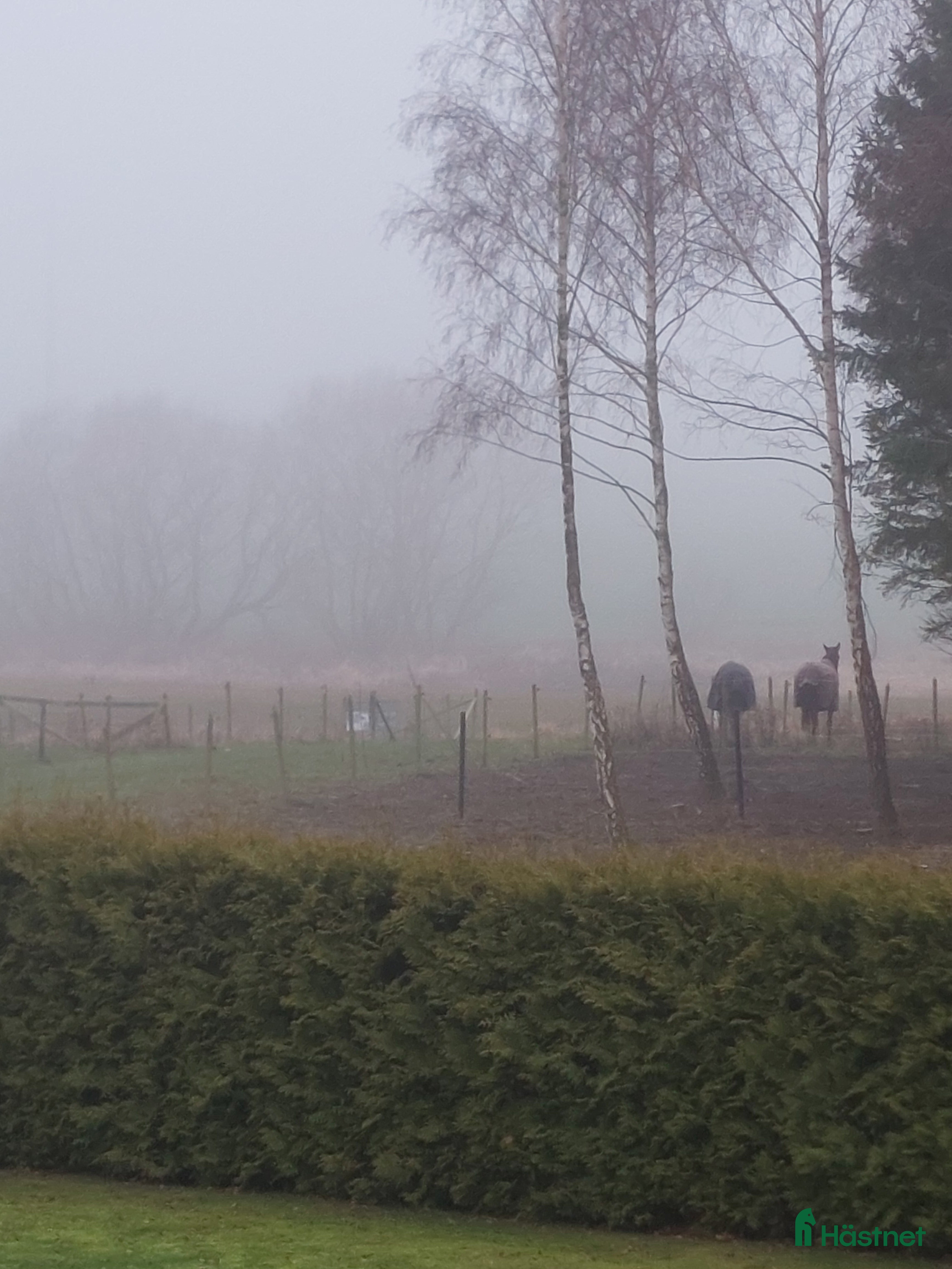  stallplats Stalluthyres i Staffanstorp - Annons 10