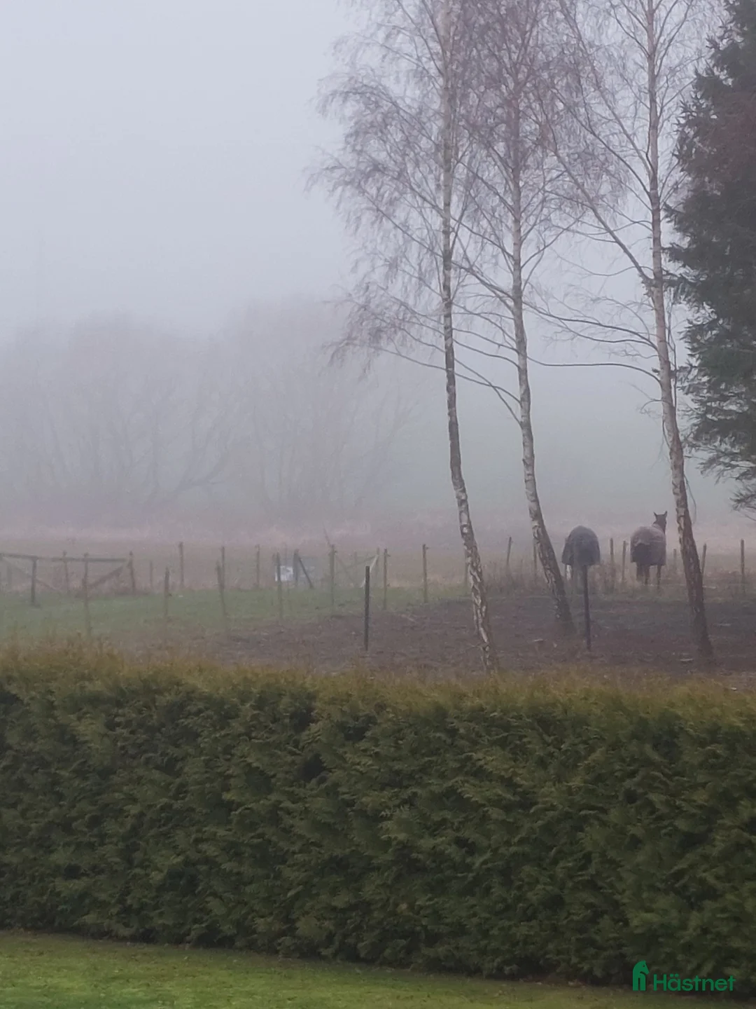  stallplats finnes: Stalluthyres i Staffanstorp - Annons 1