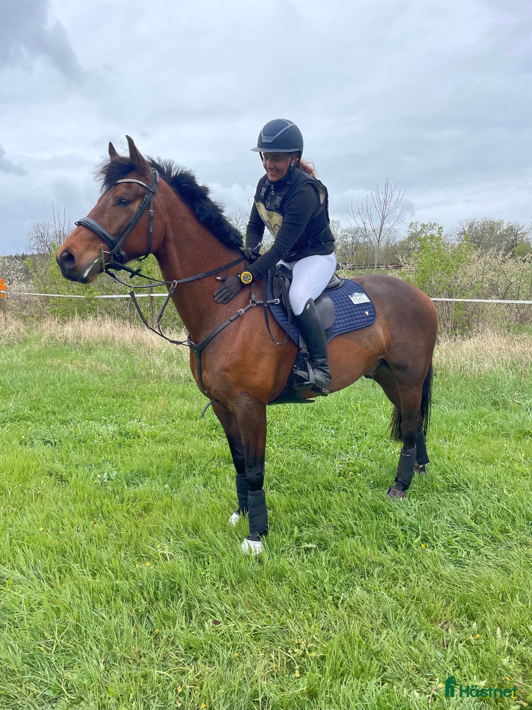 Fälttävlan hästar sökes: Fälttävlanskompis sökes  i Tenhult - Annons 1