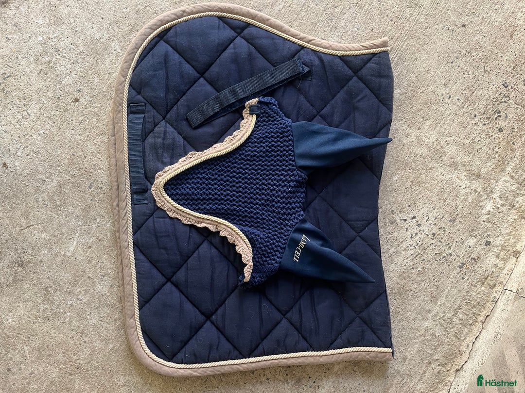 Schabrak & Vojlockar hästutrustning till salu: Schabrak set lamicell i Hajom - Annons 1