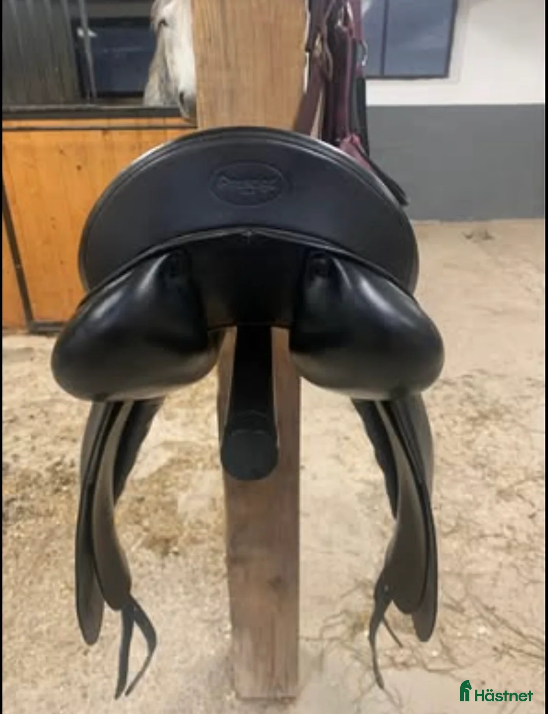 Sadlar hästutrustning till salu: Prestige Hippos - Annons 2