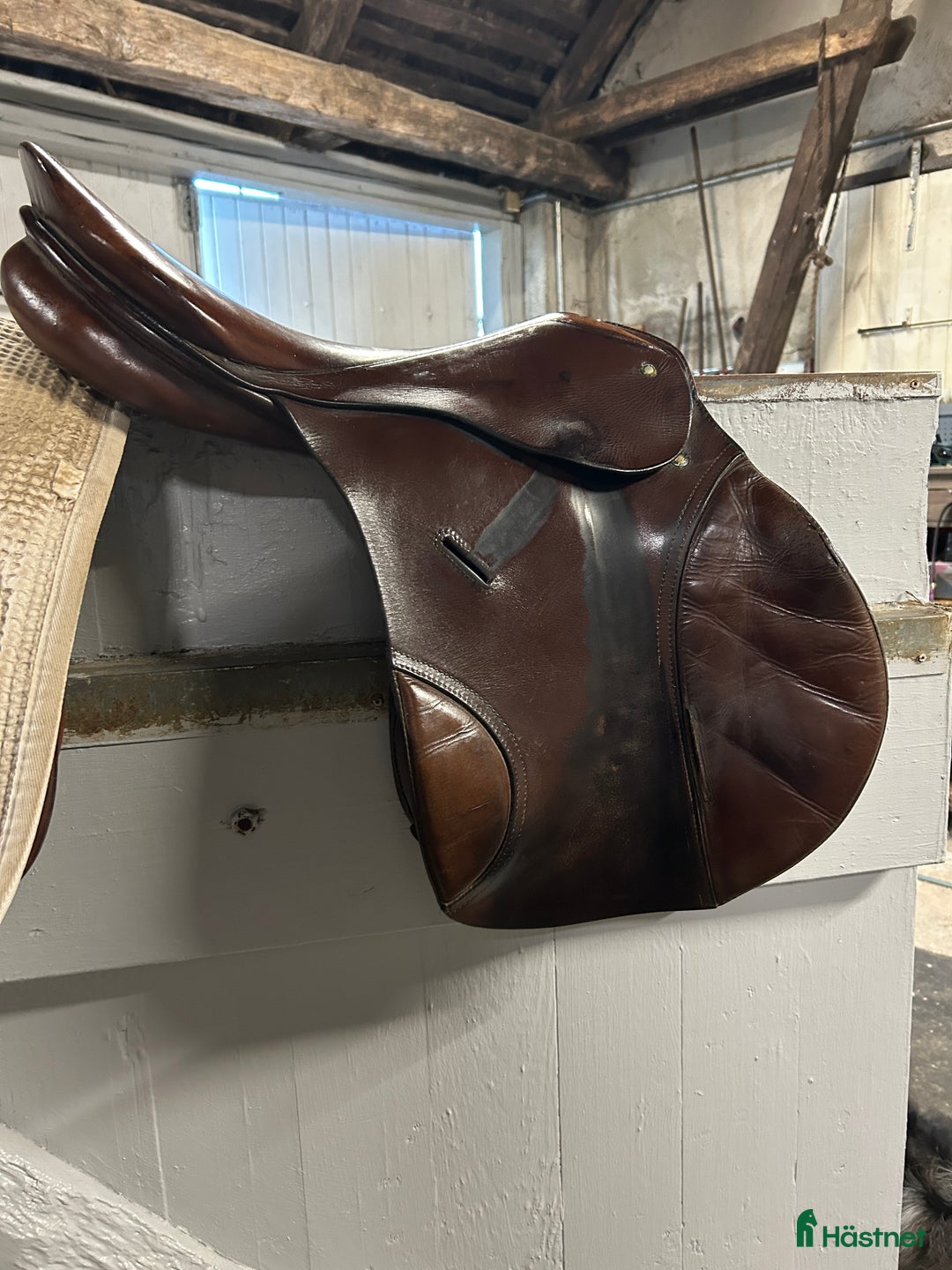 Sadlar hästutrustning till salu: Passier comet fs  i Skurup - Annons 2