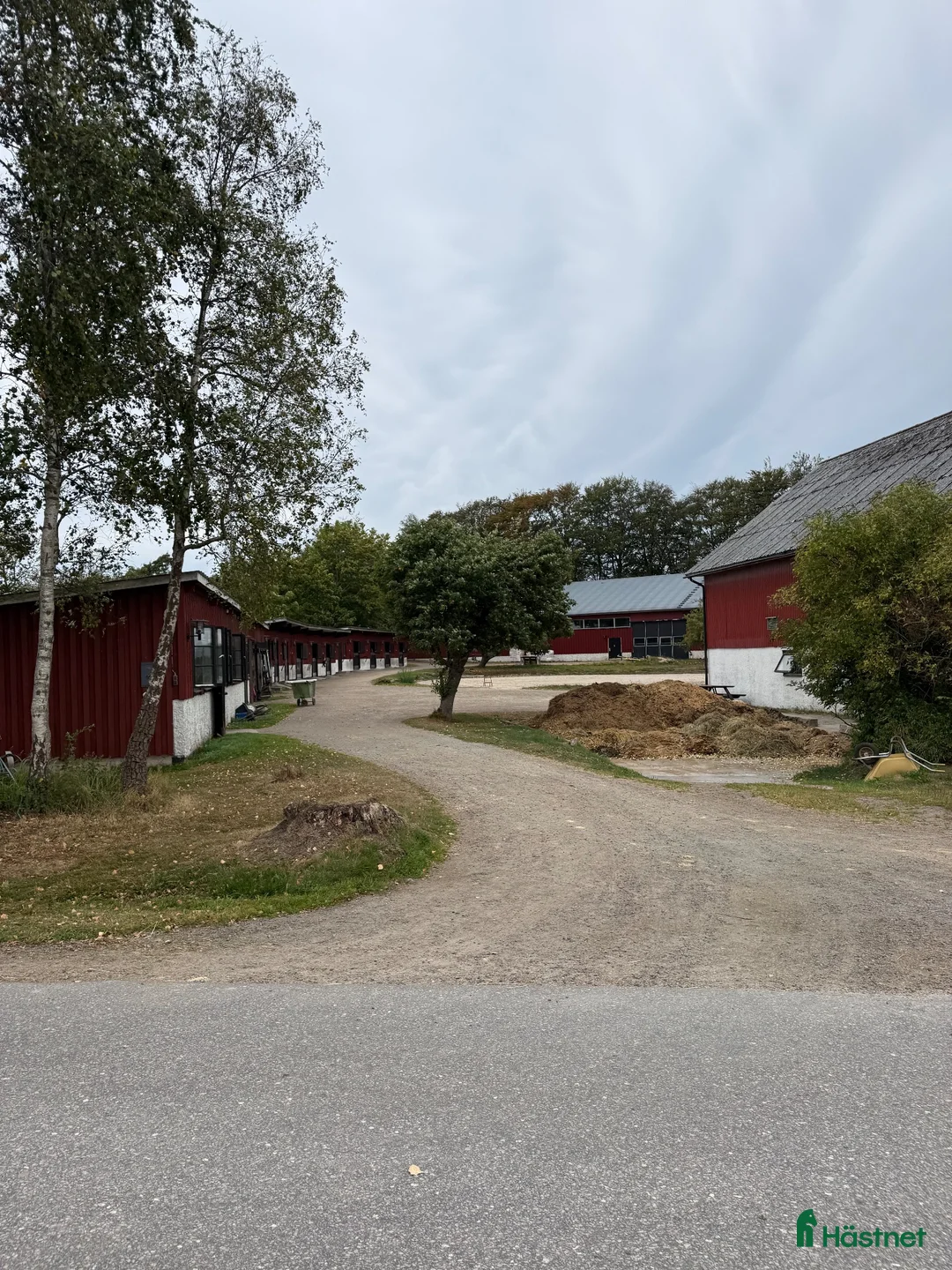  stallplats finnes: Stor anläggning med fina ridvägar - Annons 2