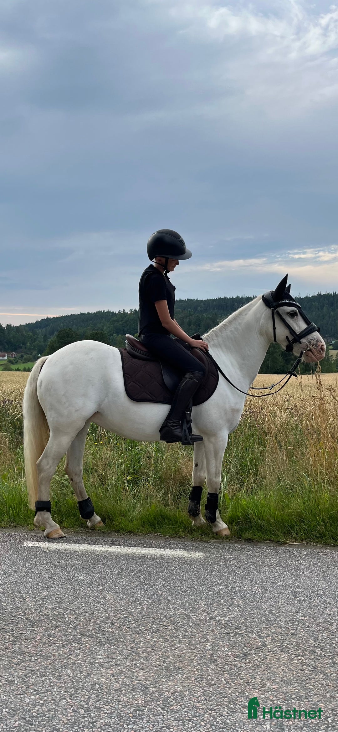 Hoppning hästar till salu: C-ponny ⭐️ i Bollebygd - Annons 3