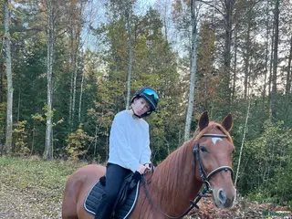 hästar Social och glad kille i Kalmar - Annons 12