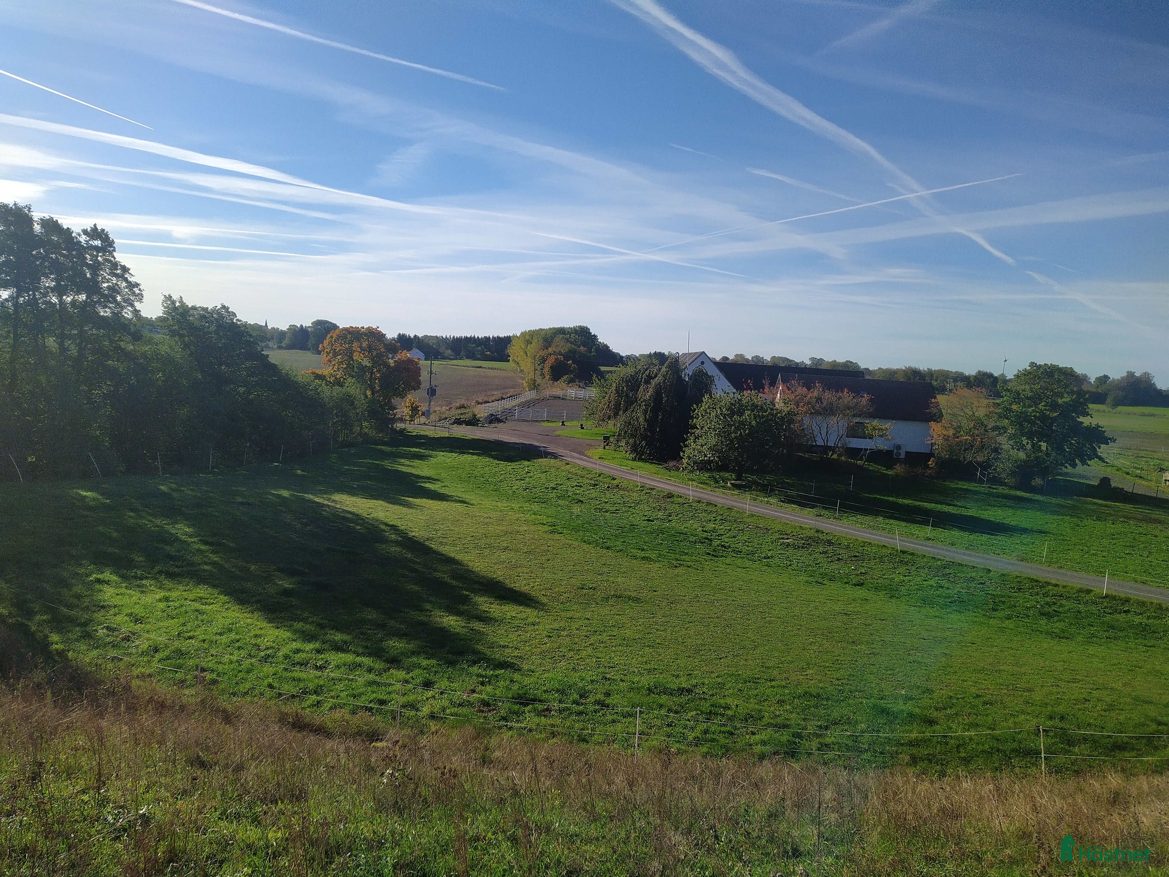  stallplats Hästboxar att hyra på en fantastisk tomt.  i Tomelilla - Annons 3