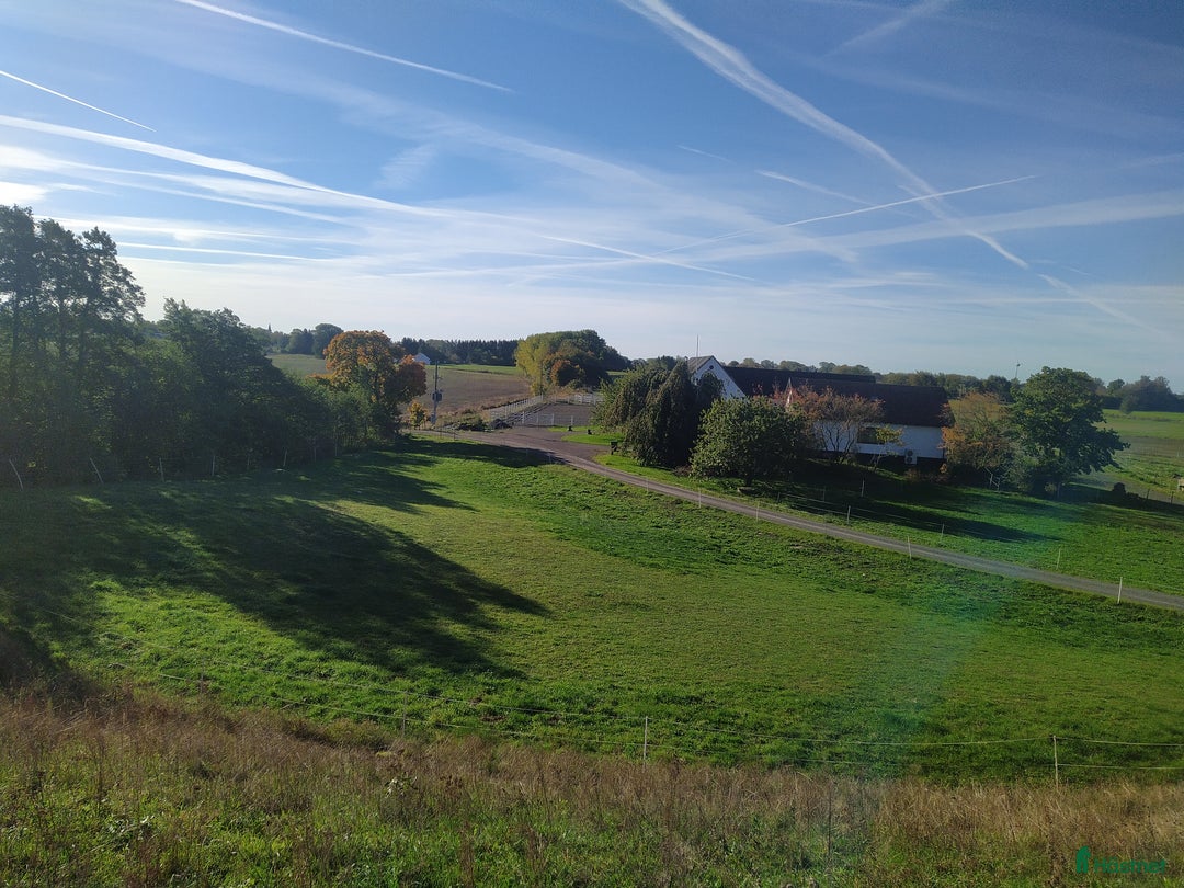  stallplats finnes: Hästboxar att hyra på en fantastisk tomt.  i Tomelilla - Annons 1