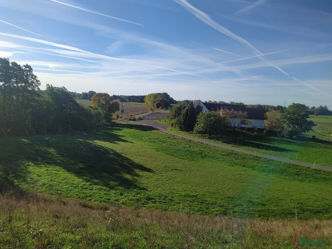  stallplats finnes: Hästboxar att hyra på en fantastisk tomt.  i Tomelilla - Annons 1