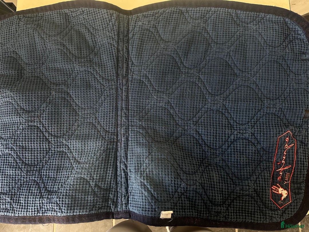 Schabrak & Vojlockar hästutrustning till salu: Equipe schabrak i Vellinge - Annons 4