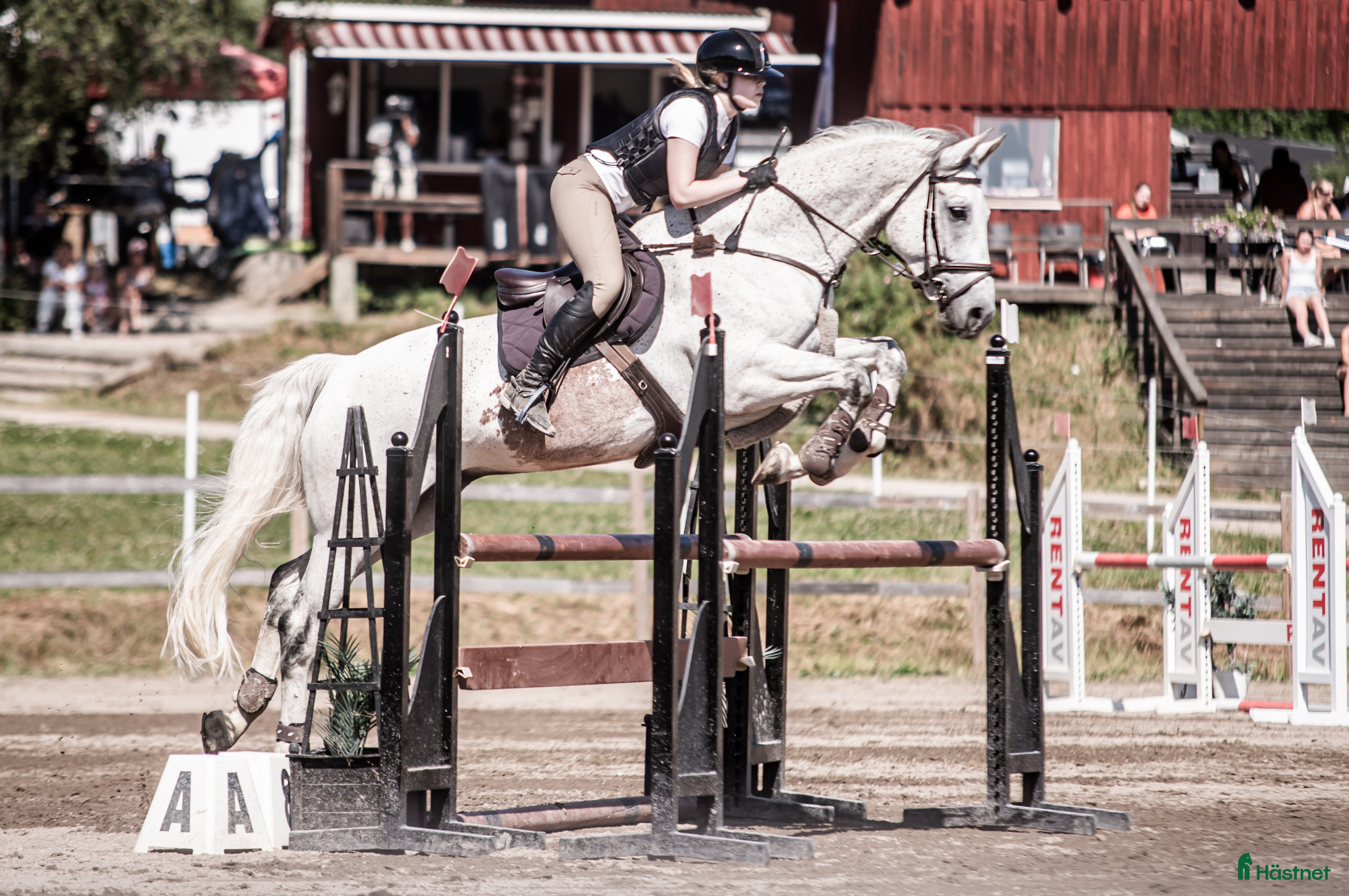  hästar Lyxig hobbyhäst - Annons 15