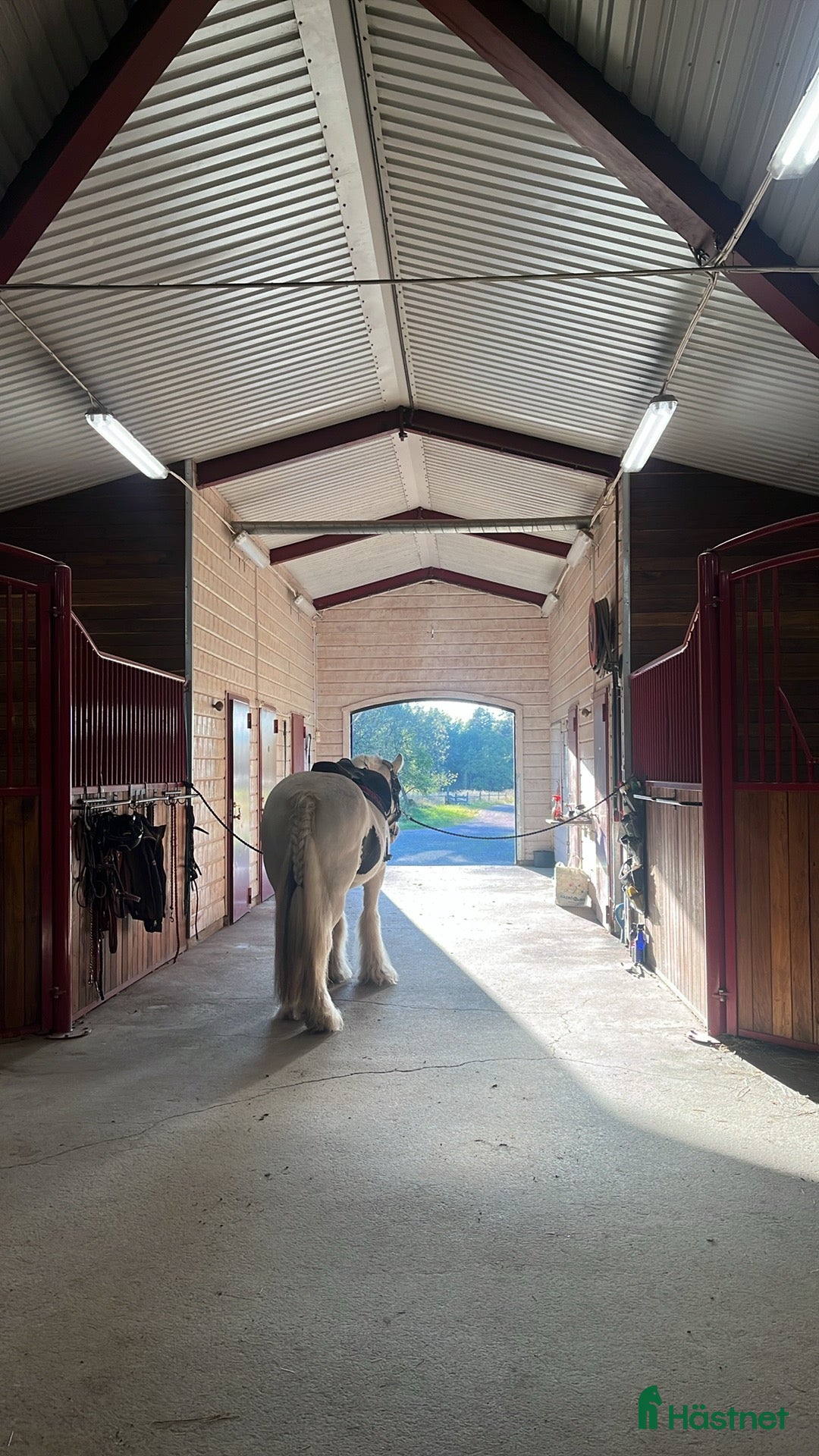  stallplats finnes: Helinackordering Almunge i Almunge - Annons 4