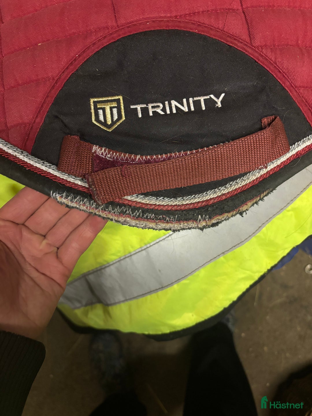 Schabrak & Vojlockar hästutrustning till salu: Schabrak och padd - Annons 5