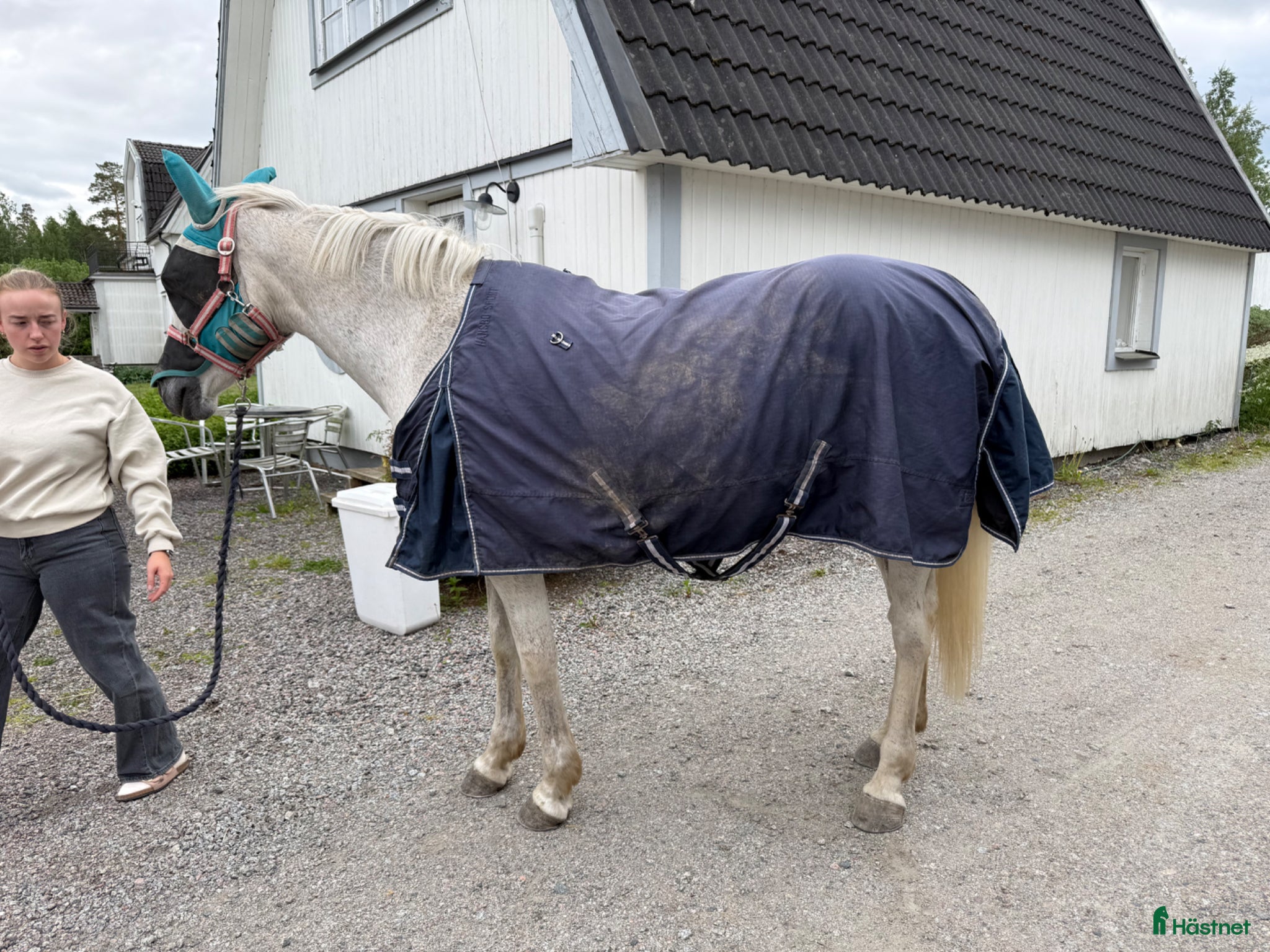 Täcken hästutrustning till salu: Blandade täcken 135 (6st) - Annons 6