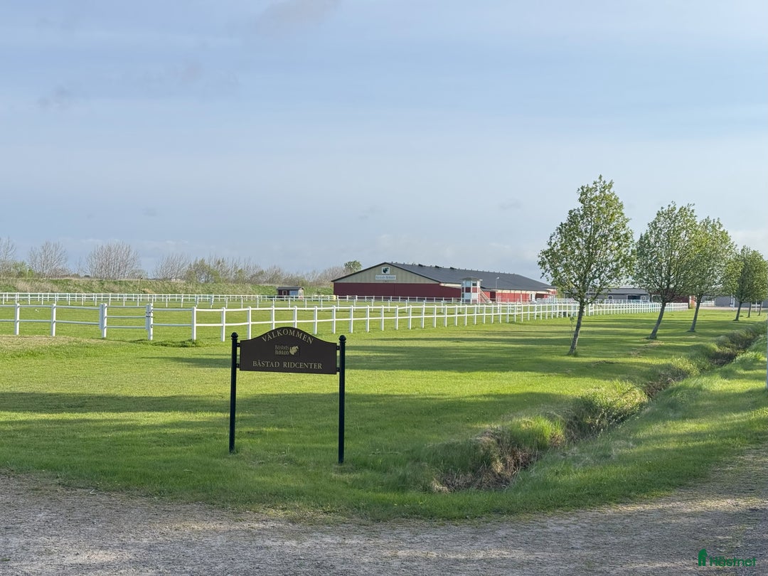  stallplats finnes: Stallplats i Båstad i Båstad - Annons 1