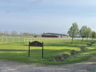 stallplats finnes: Stallplats i Båstad i Båstad - Annons 1