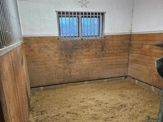 stallplats Box uthyres. i Södertälje - Annons 2