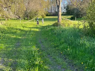 hästar Islandshäst till hästvan familj - Annons 1