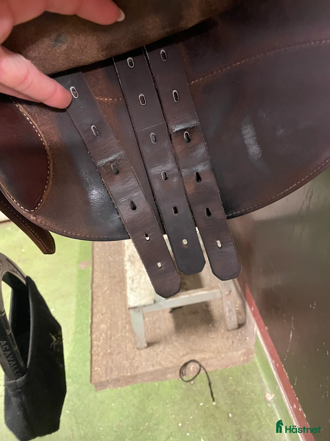 Sadlar hästutrustning till salu: Renaissance F - Annons 3