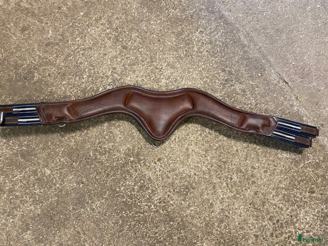 Övrig Hästutrustning hästutrustning till salu: Antarés anatomisk sadelgjord i Fårbo - Annons 4