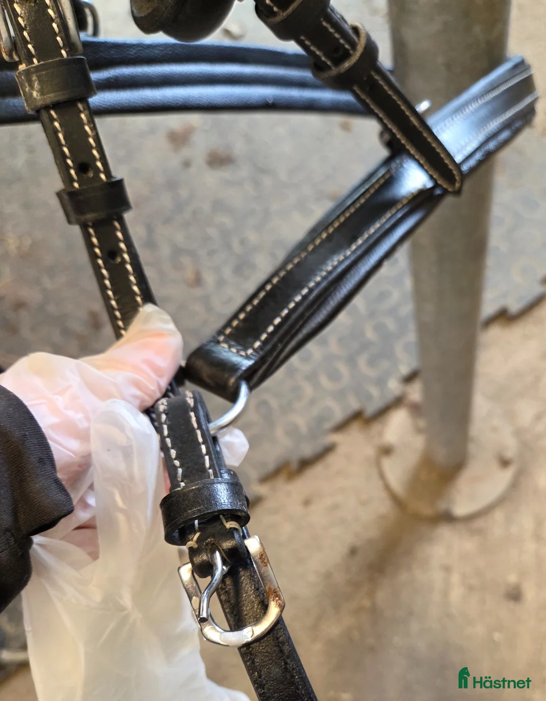 Körselar körning till salu: Sele passande shetland - Annons 8