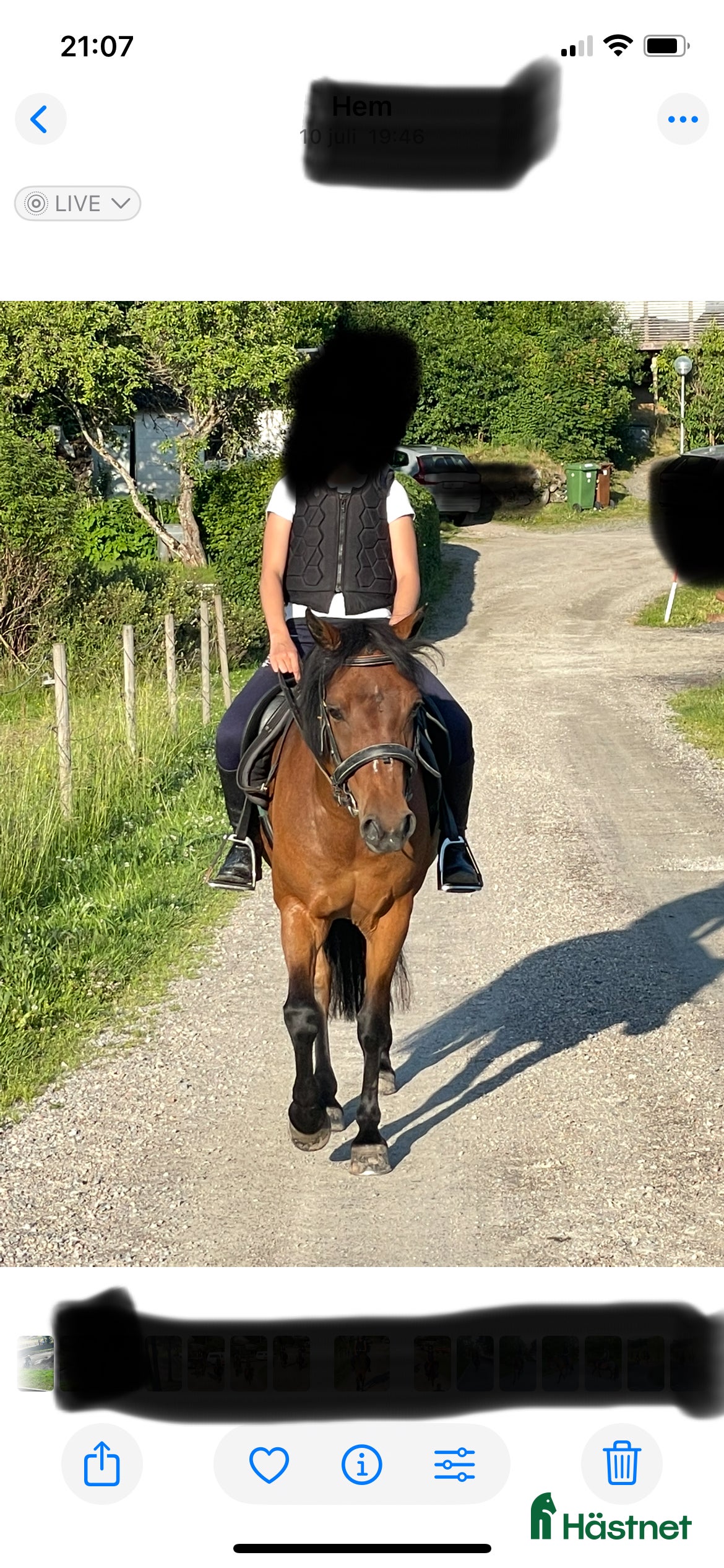  hästar B- ponny - Annons 2