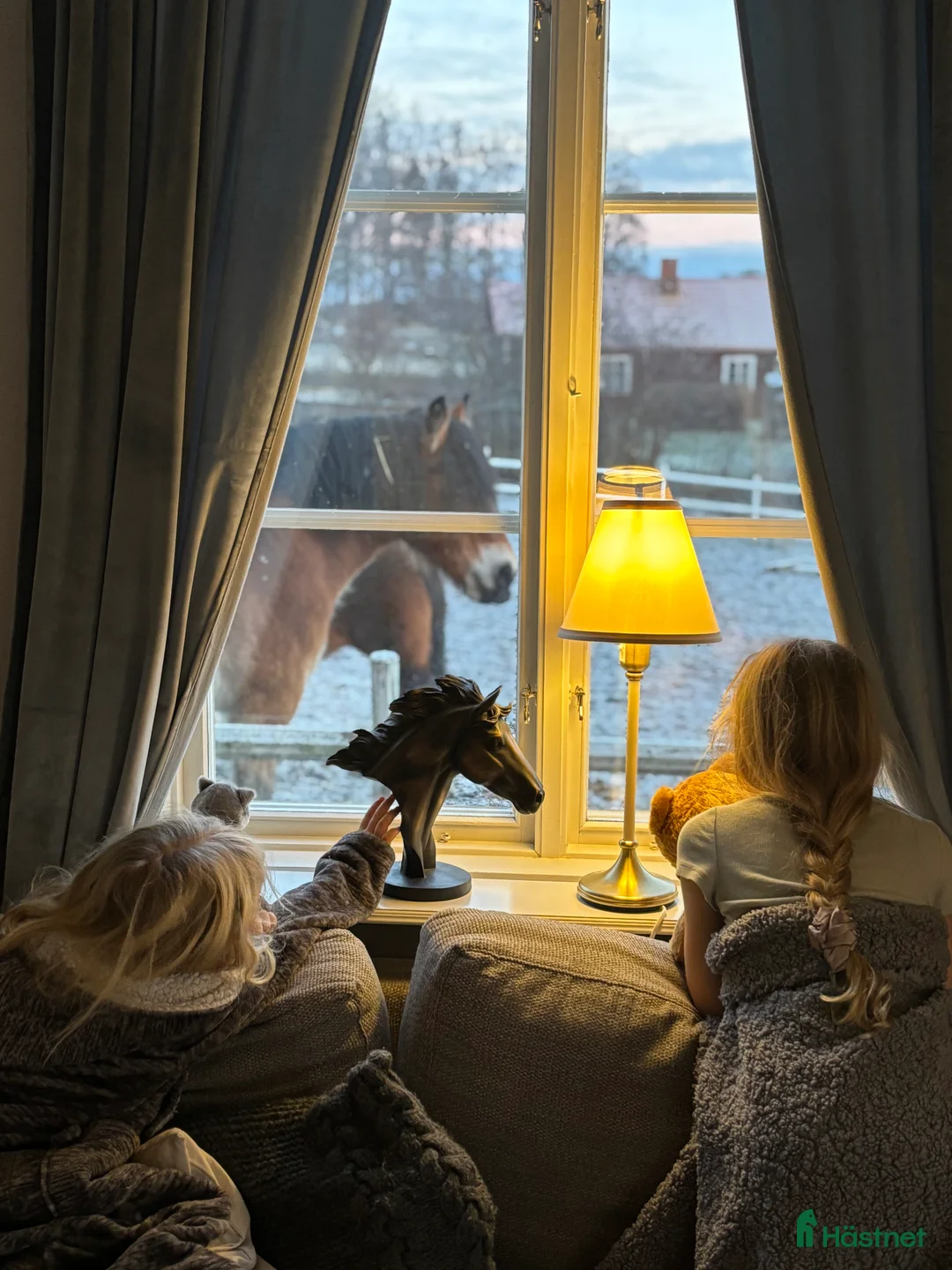  stallplats finnes: Lösdrift med tillgång till box i Bälinge - Annons 2