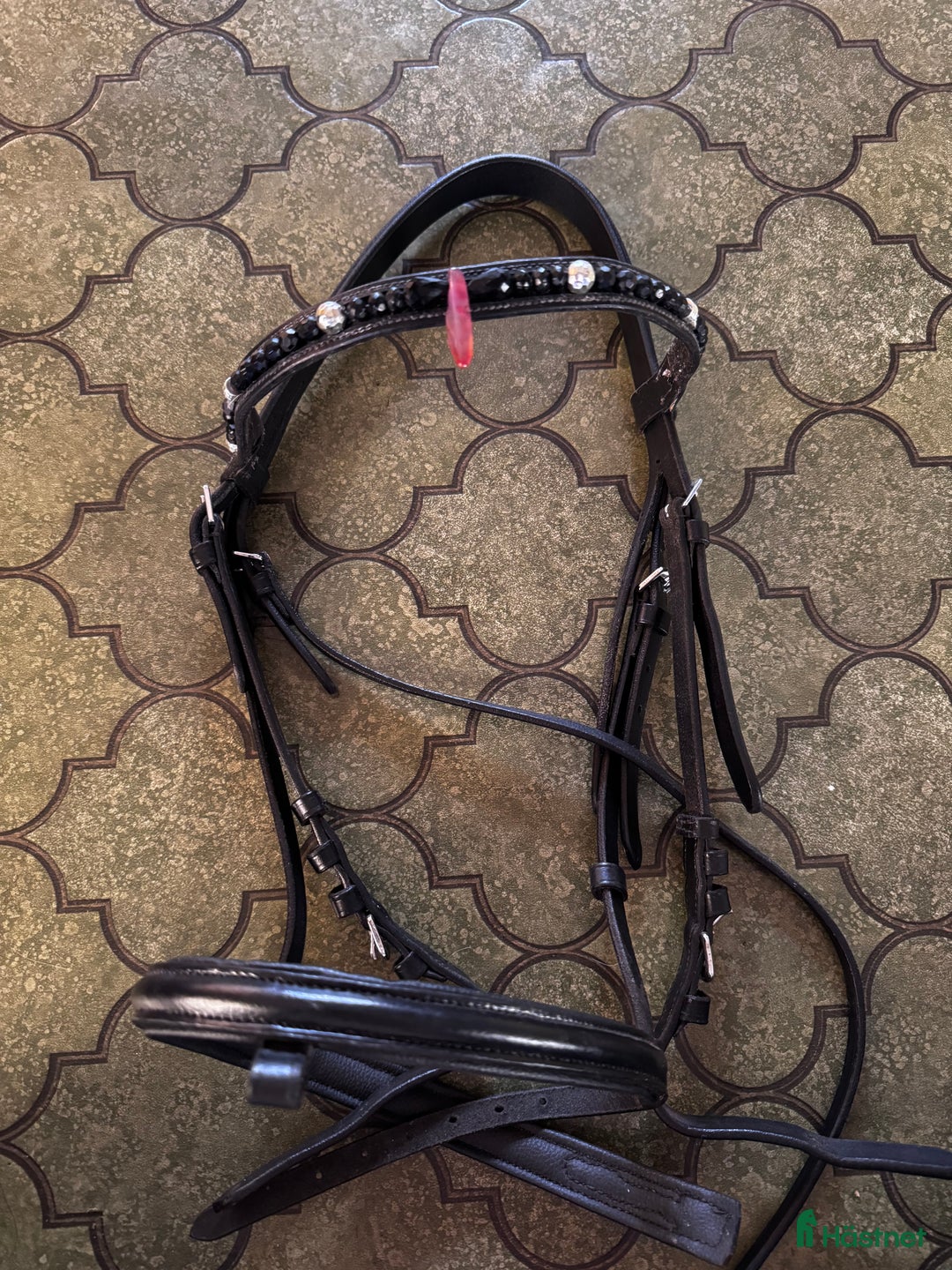 Träns hästutrustning till salu: Träns  i Kalmar - Annons 1