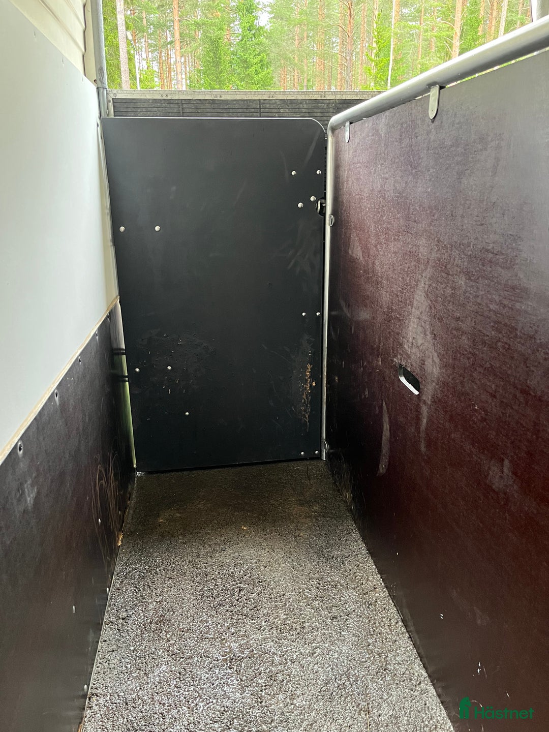 Hästtransporter  fordon & transport till salu: Forzab Cavallo SEH26 -16 i Valbo - Annons 8