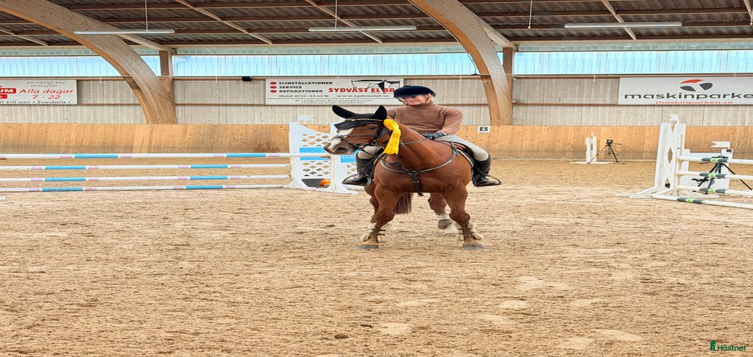 Galleribild {{count}}