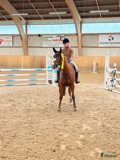 Galleribild {{count}}