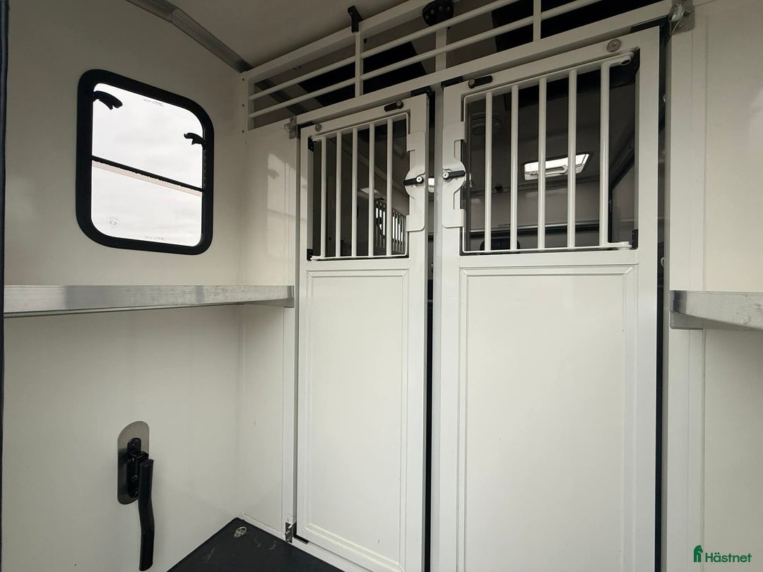 Hästlastbilar  fordon & transport till salu: PARAGAN EXCELSION 5XL STUTERI  i Köping - Annons 10