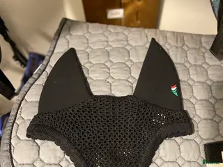 Övrig Hästutrustning hästutrustning Equiline o Lippo - Annons 19