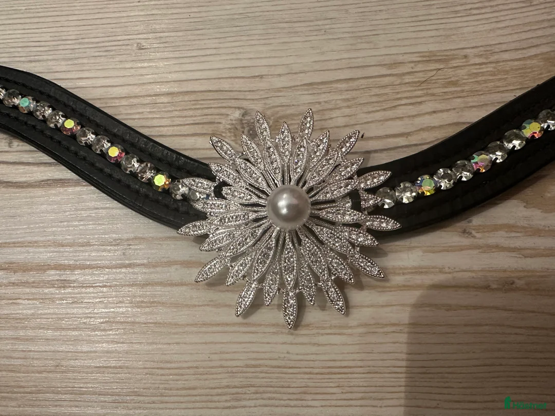 Övrig Hästutrustning hästutrustning till salu: Unika pannband till häst och ponny i Bro - Annons 1