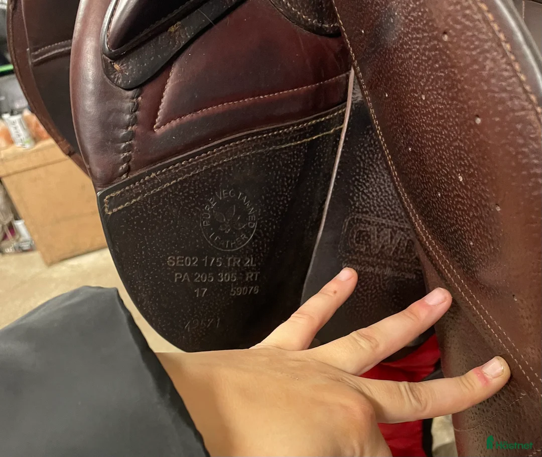 Sadlar hästutrustning till salu: Byt eller köp denna fantastiska sadel🙏🏻 i Trelleborg - Annons 2