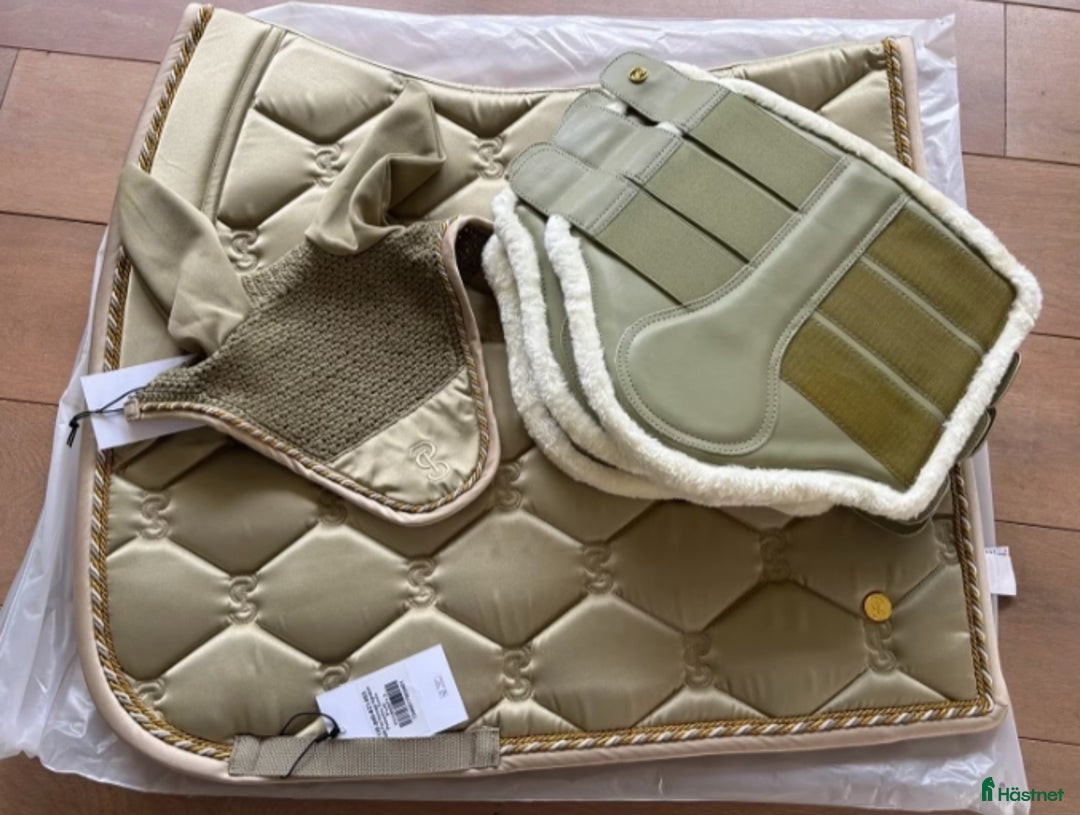 Schabrak & Vojlockar hästutrustning till salu: Ps of Sweden Set Full i Åmotsbruk - Annons 1