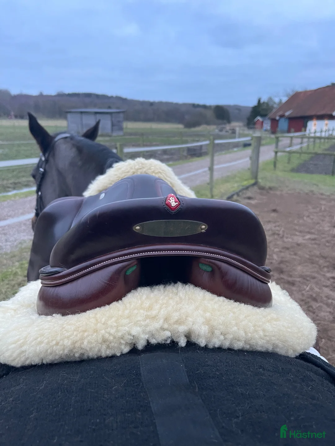 Sadlar hästutrustning till salu: Välvårdad Equipe EK26 hoppsadel  - Annons 3